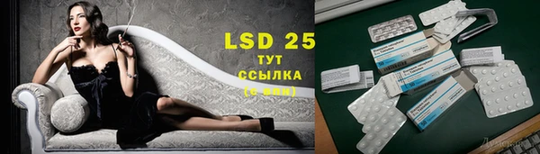 эйфоретик Богданович