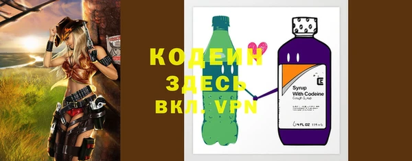 эйфоретик Богданович