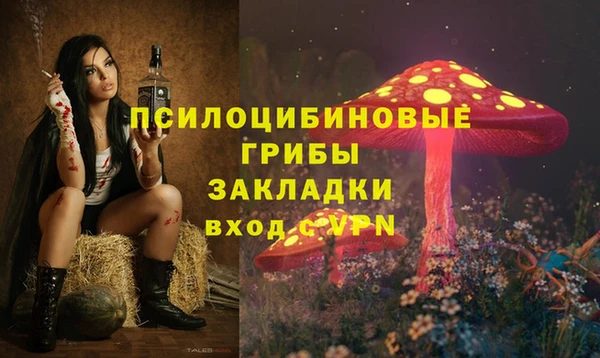 эйфоретик Богданович