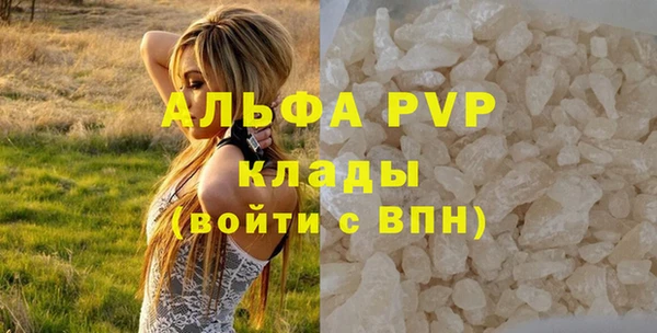 эйфоретик Богданович