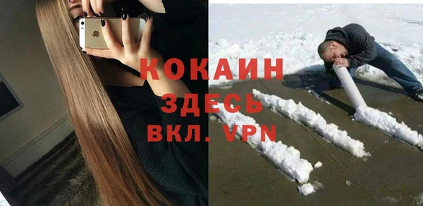 эйфоретик Богданович