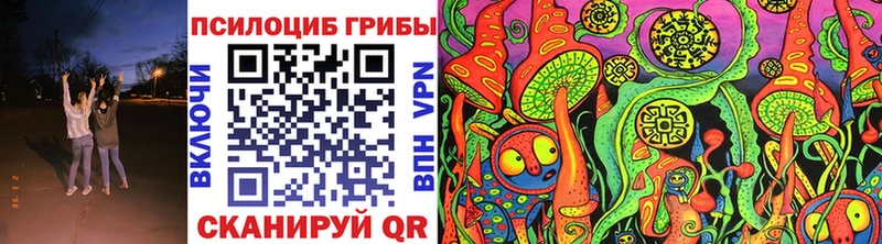 Галлюциногенные грибы Psilocybe  Купить  Приозерск 
